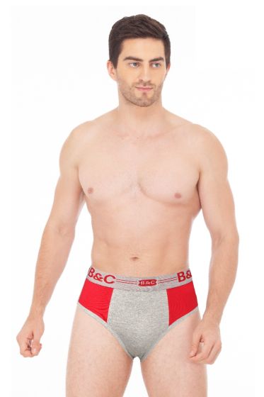 mens  brief swagger